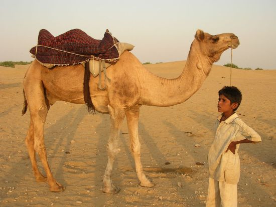 ピンクシティ・ブルーシティ・ゴールデンシティ周遊エキゾチック★ラジャスターン3都市周遊5日間/プライベート専用車・日本語ガイド