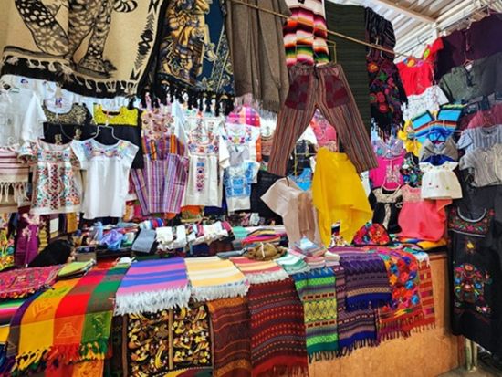 オアハカ1日観光ツアー　世界遺産モンテ・アルバン＋ハラトラコ地区＋サント・ドミンゴ教会＋民芸品市場巡り＜専用車／日本人アシスタント／オアハカ発＞