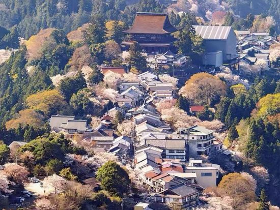 Image_20260226105053