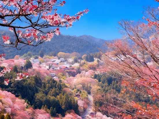 Image_20260226112655