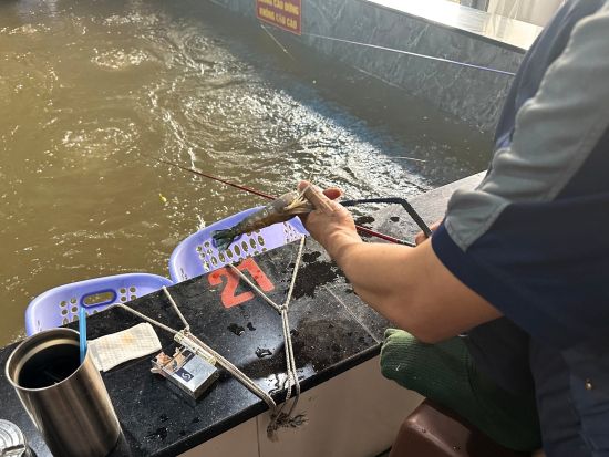 ホーチミン エビ釣り体験ツアー　巨大オニテナガエビを釣ってその場で実食！ ＜午前または午後／日本語ガイド＞