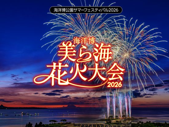 美ら海花火1