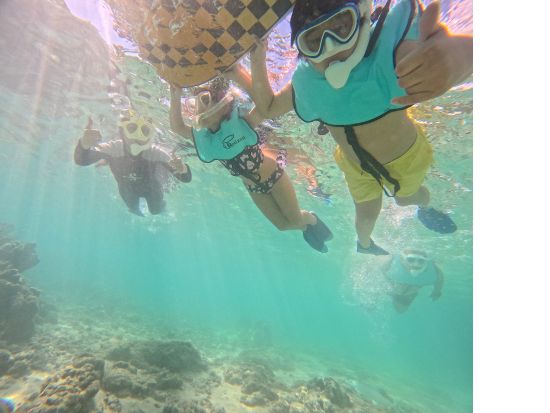 ハナウマ湾シュノーケリング　初心者OK! 日本語インストラクターのレッスン付き少人数制ツアー　器材持込みでお得なプランあり＜半日／水中写真付き＞
