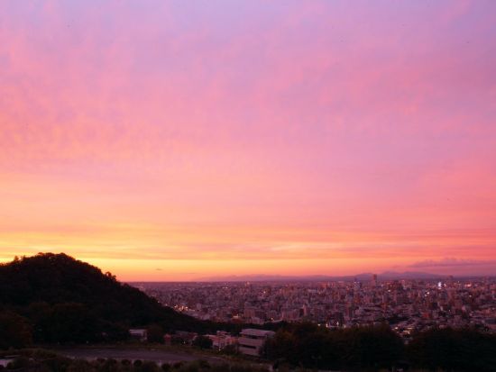 ローズガーデンクライスト教会 プロポーズプラン　恋人の聖地にも指定され永い歴史を刻んでゆく大聖堂…景色の良いレストランと教会での特別な演出を ＜札幌伏見＞