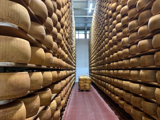 パルミジャーノ、バルサミコ＆ワイナリーツアー ＜軽食付き／ボローニャ発＞