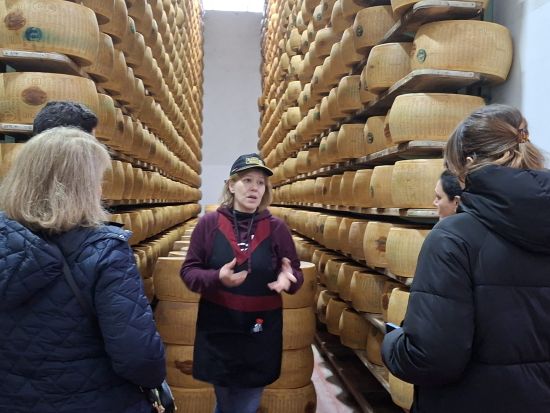 パルミジャーノ、バルサミコ＆ワイナリーツアー ＜軽食付き／ボローニャ発＞