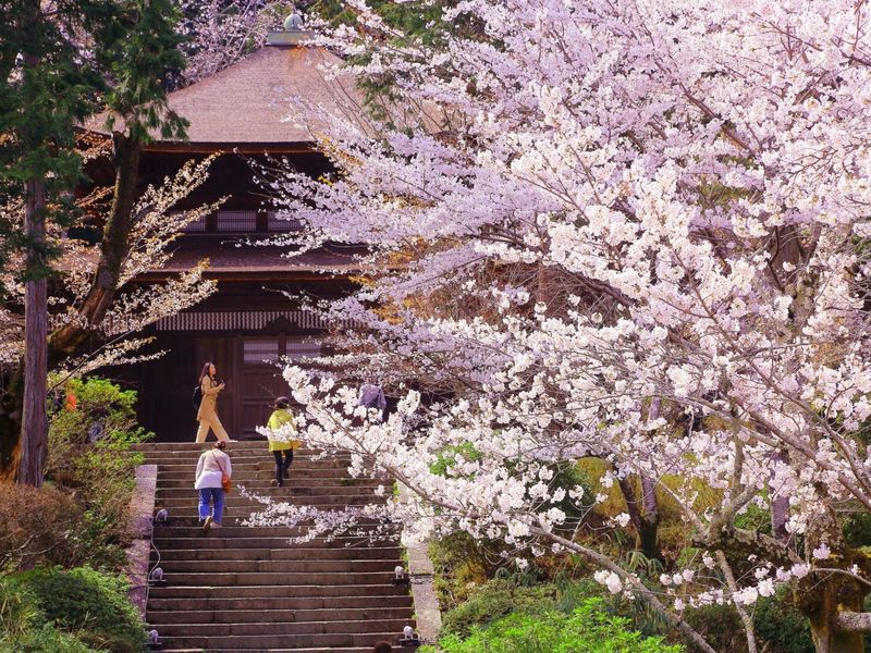 b0e61ace62fbe78b43276757d9812103