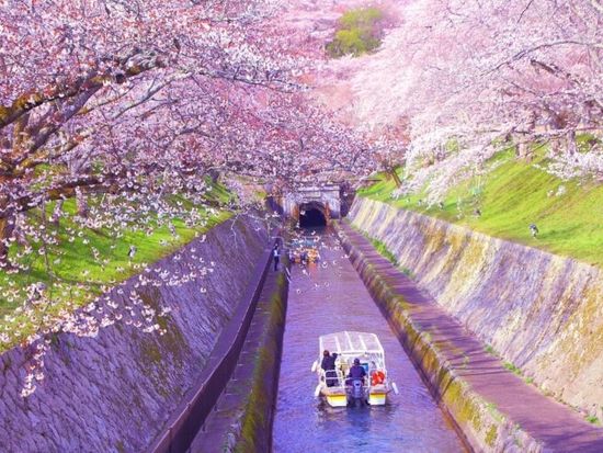 52b10340f658a0ad429cc35c927d7f7b