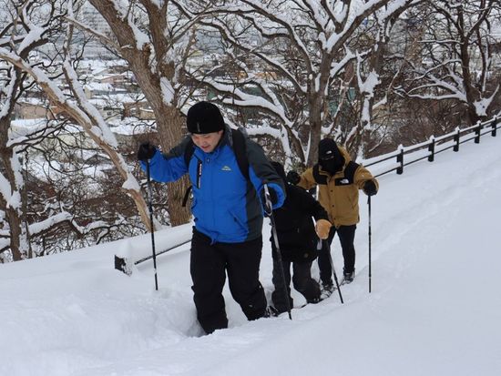 稚内公園スノーシューガイドツアー 冬限定の雪原を歩く絶景体験 無料送迎あり＜約3時間／少人数制／稚内市内送迎＞の写真5