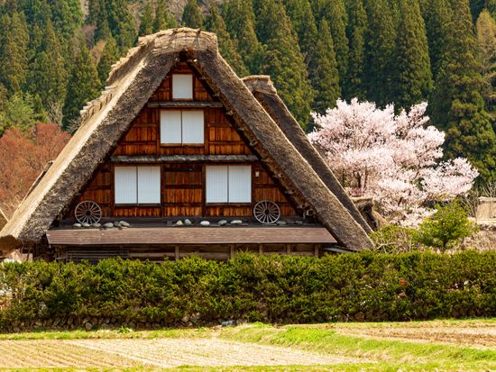 Japan_Gifu_Shirakawa-go_pixta_58150542_M