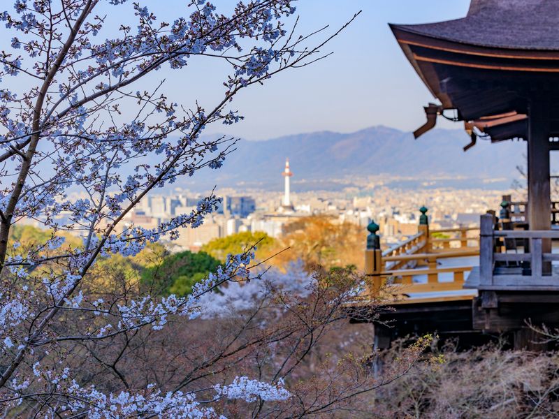Japan_Kyoto_Kiyomizu_temple_pixta_76137036
