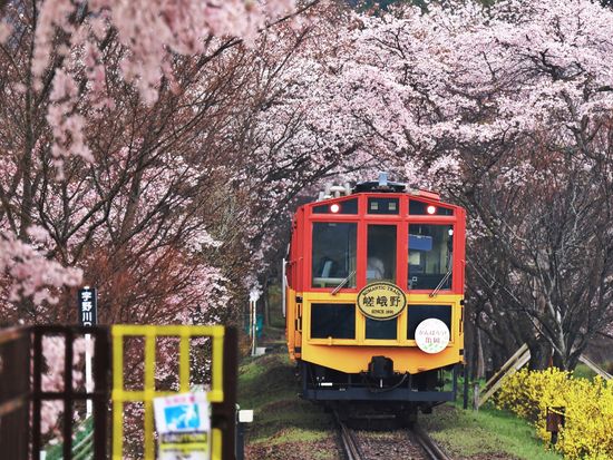 Japan_Kyoto_Arashiyama_Sagano Romantic Train_pixta_75870333
