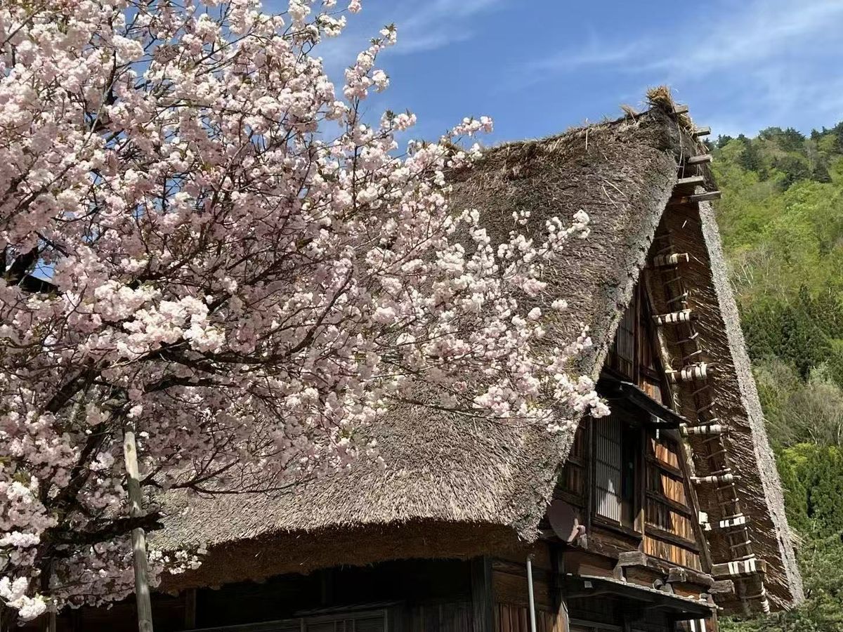 世界遺産白川郷・金沢・高山宿泊付きバスツアー 白川郷の合掌集落×飛騨