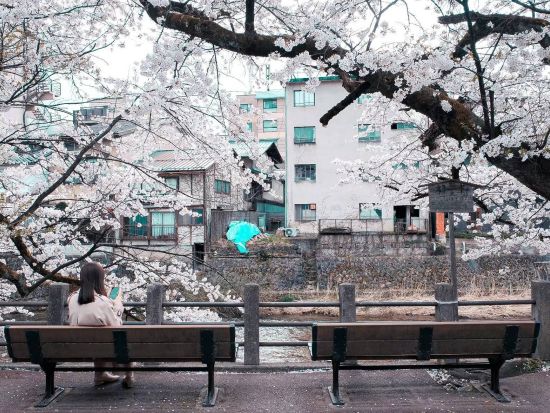 世界遺産白川郷・金沢・高山宿泊付きバスツアー 白川郷の合掌集落×飛騨高山×金沢名園一度で三度美味しい！北陸昇龍道の珠玉三都市を効率よく巡る