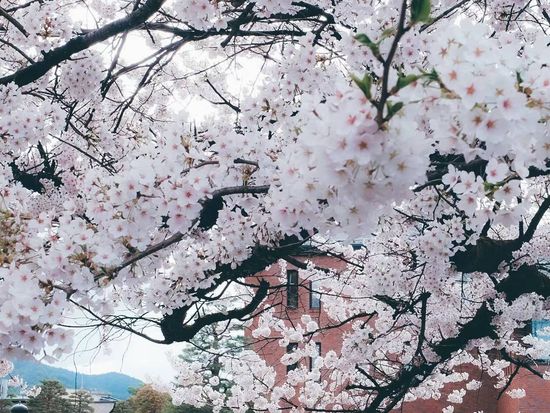 WeChat Image_20240417114146