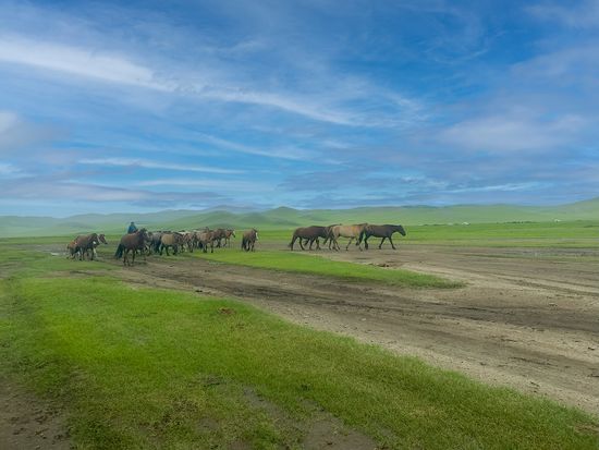 モンゴル遊牧民家庭ホームステイツアーの写真3