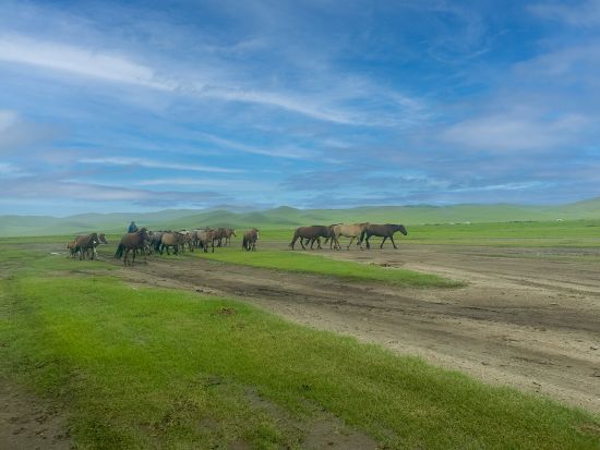 モンゴル遊牧民家庭ホームステイツアー