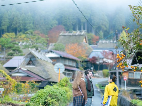 早朝ガイドツアー8