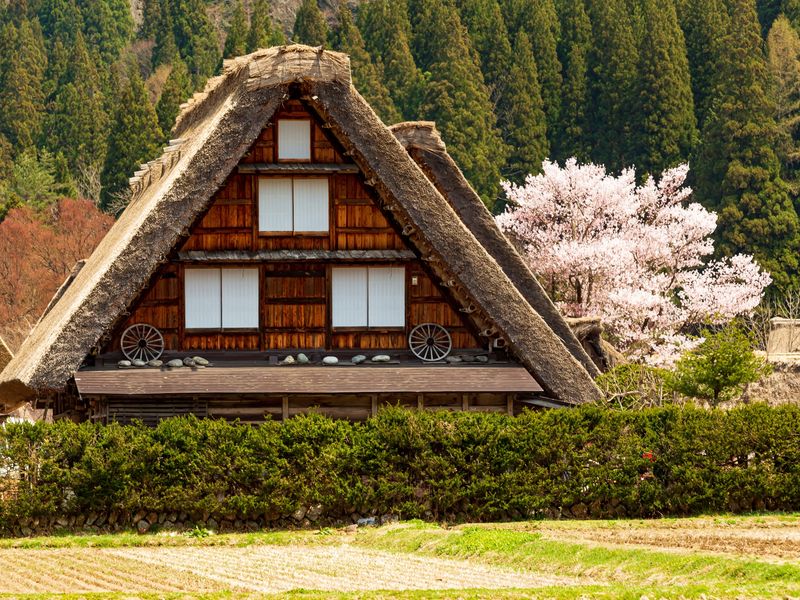 Japan_Gifu_Shirakawa-go_pixta_58150542_M