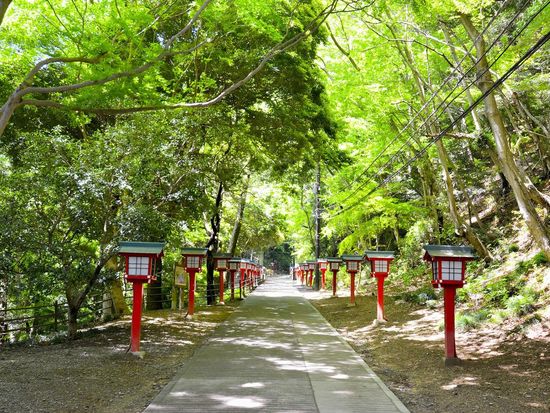 【東京・高尾山】薬王院×うかい鳥山特別企画｜僧侶同行参拝・護摩焚きと囲炉裏料理を味わう特別体験の写真2