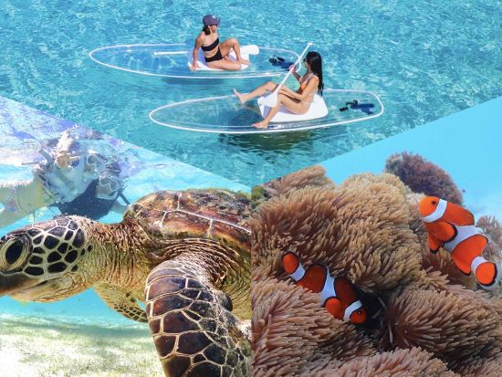 宮古島ウミガメシュノーケル＆クリアSUP体験 高確率で遭遇できる◎非日常体験を楽しもう！＜写真・動画データ無料付き／約4時間＞