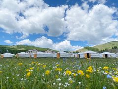 奥テレルジ国立公園1泊2日ツアー　フラワーハイキング＆星空観察＆モンゴル文化体験　トメンハーンリゾートのゲルキャンプ宿泊＜日本語ガイド／ウランバートル発＞の写真