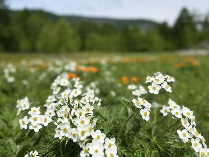 4f0fec92-bbf0-4e27-a29f-acf2f90f2ee4