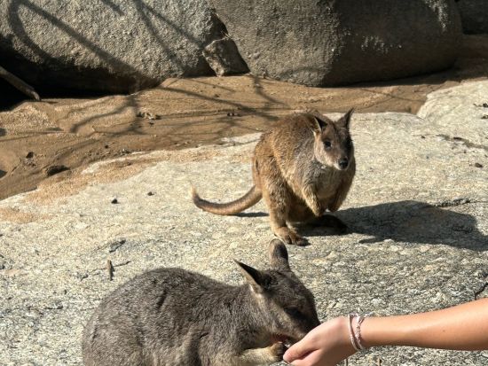 【日本語ドライバーガイド貸切】観光、ショッピング、お食事など自由に楽しめる、日本語チャータープラン ＜1～20名／4～10時間／空港送迎可能＞