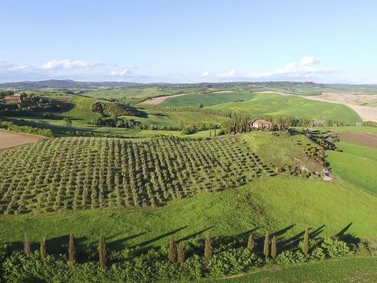 キャンティでの本格パスタ作り体験