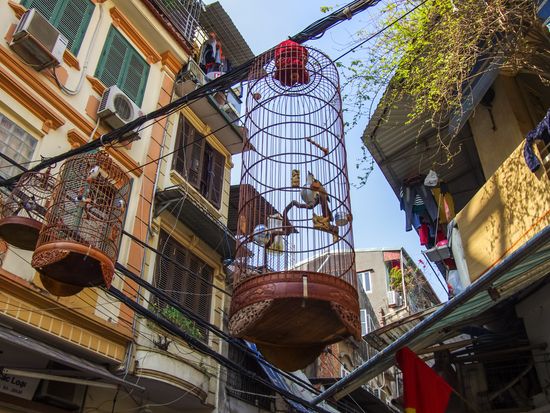 Vietnam_Hanoi_Old Quarter_Street_shutterstock_387474157