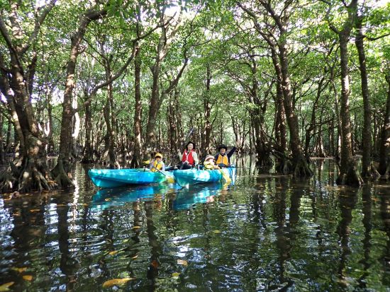貸切マングローブカヤックツアー 1組限定のプライベートツアーで大自然を探検 カヤックでマングローブ林を巡る特別なひととき＜午前or午後／写真データ無料／石垣島＞