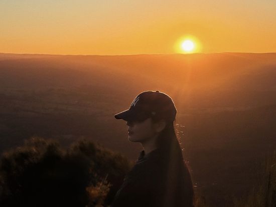 世界遺産ブルーマウンテンズ　サンセット観賞＋星空観賞＋フェザーデール・シドニー・ワイルドライフ・パーク＜韓国語ガイド+日本語翻訳音声ガイド＞