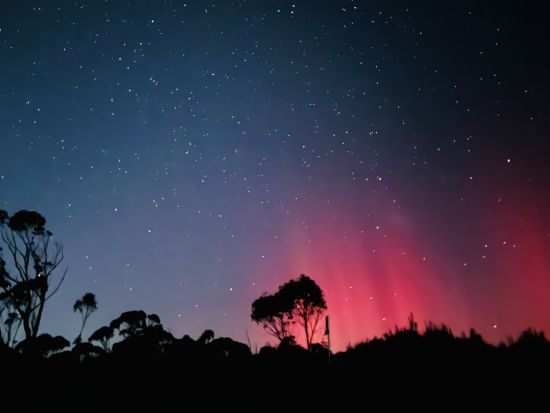 世界遺産ブルーマウンテンズ　サンセット観賞＋星空観賞＋フェザーデール・シドニー・ワイルドライフ・パーク＜韓国語ガイド+日本語翻訳音声ガイド＞