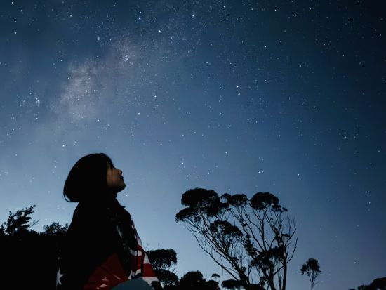 世界遺産ブルーマウンテンズ　サンセット観賞＋星空観賞＋フェザーデール・シドニー・ワイルドライフ・パーク＜韓国語ガイド+日本語翻訳音声ガイド＞