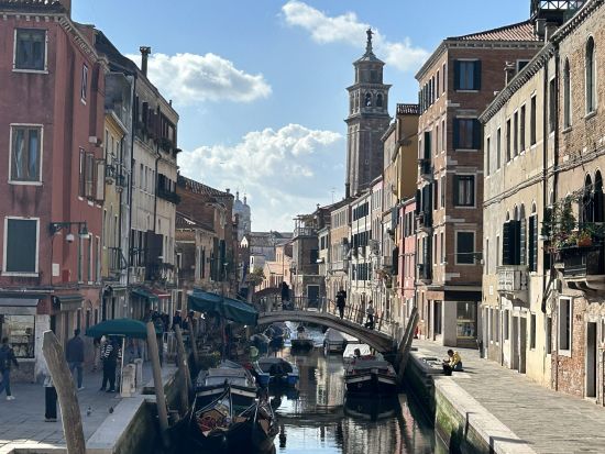 ヴェネチアの下町ドルソドゥーロ地区散策と18世紀文化史博物館カ・レッツォーニコ見学＜混載／2時間／日本語ガイド＞