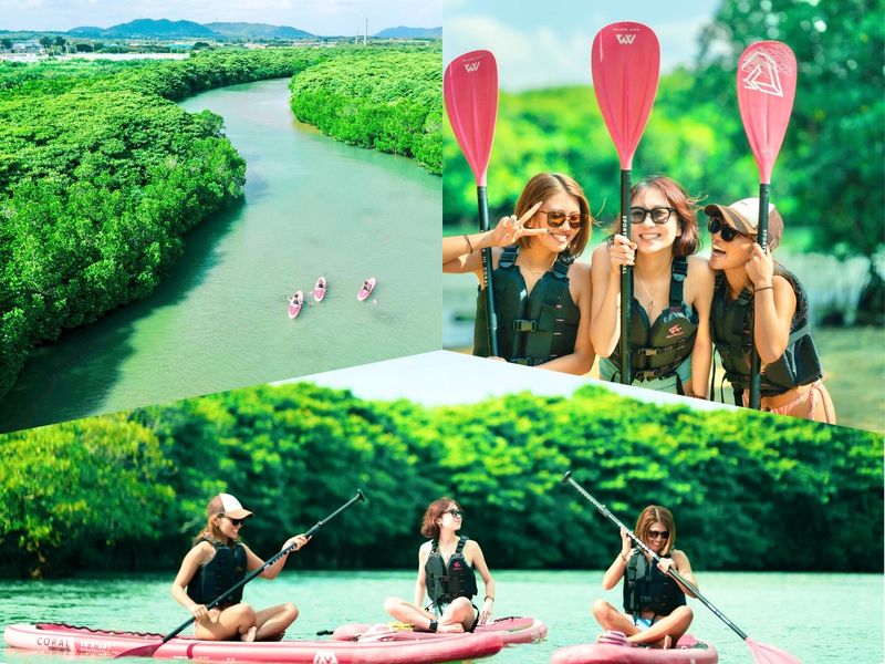 マングローブSUP