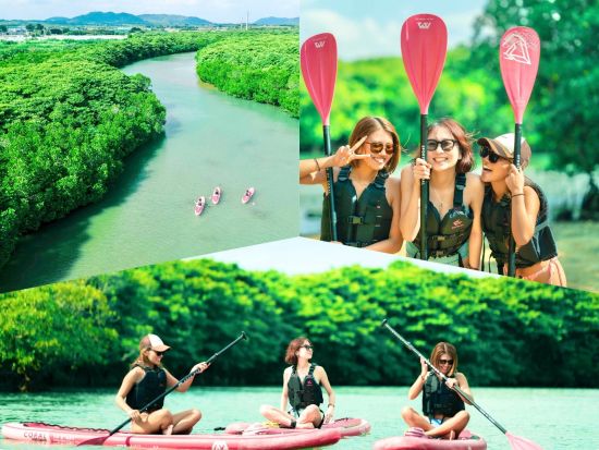 マングローブSUPツアー 日本最大級の亜熱帯自然を満喫！迫力のクルージングを楽しもう♪ANAグループ機内誌「翼の王国」掲載＜約2時間／現地集合おすすめ／石垣島＞