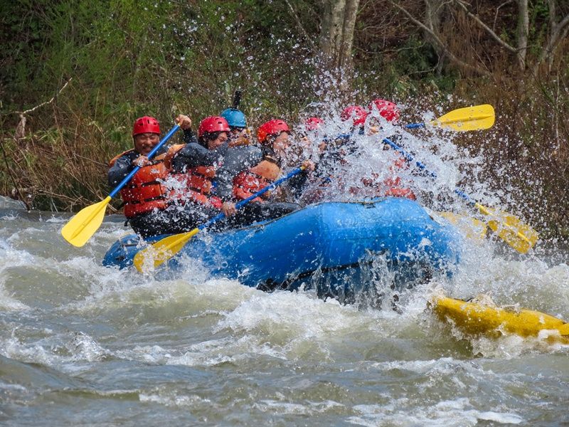 springraft (16)