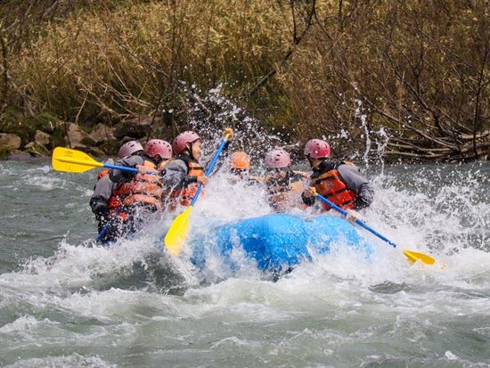 springraft (18)