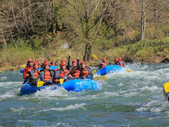 springraft (1)