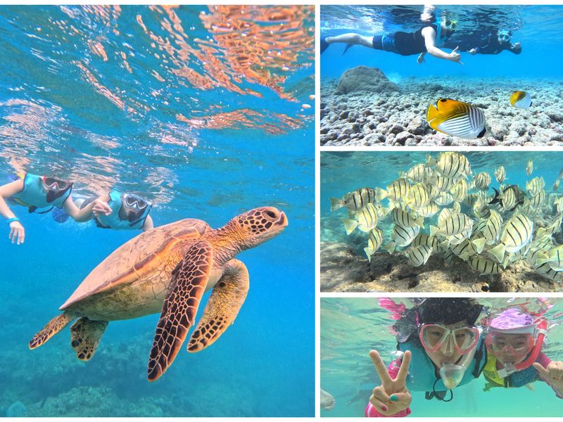 collage_export_ABDD3643-0345-46DC-811E-18453923DD68