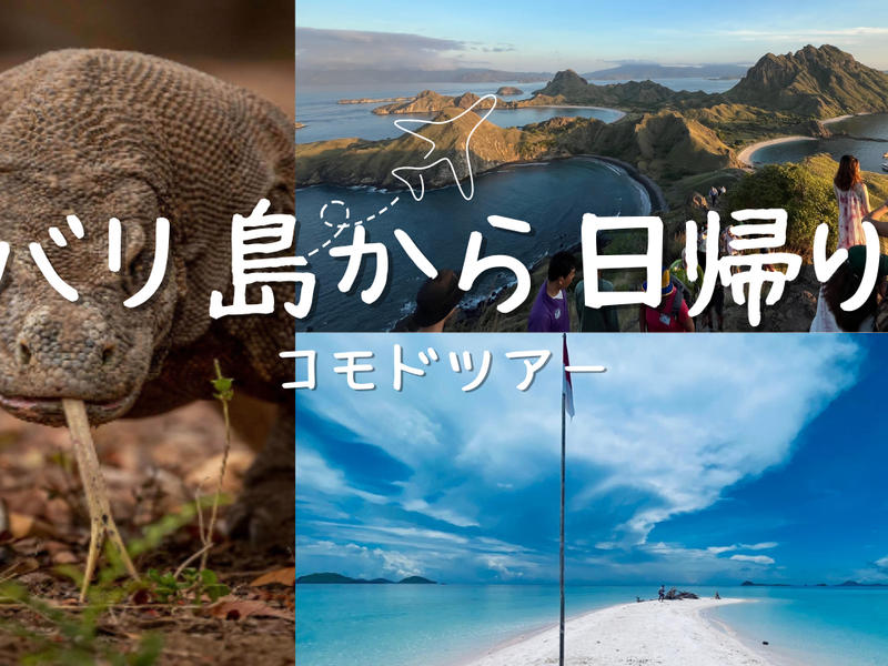 サムネイル＆WEB申し込み (14)