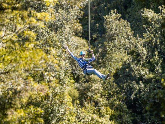 Copy of RotoruaZipline_10NOV23_MIKEDAWSON-6368