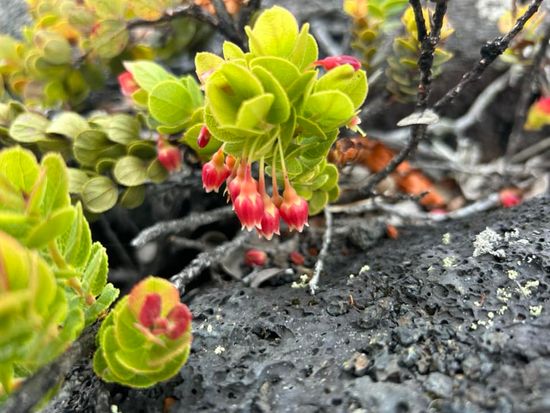 397874812_318656167552600_1749919078699657310_n