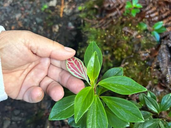 398653532_318656564219227_3483623007760448129_n