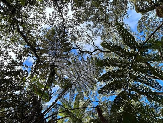 398640525_318668804218003_3386291151213059490_n