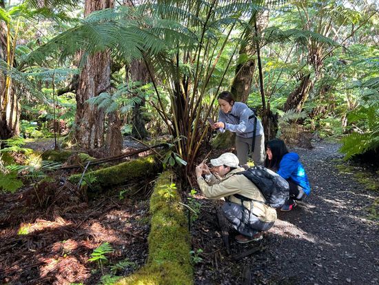 401778265_750394233752219_5013735061446273949_n