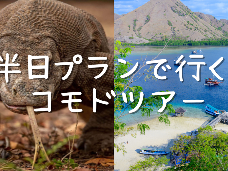 サムネイル＆WEB申し込み (15)