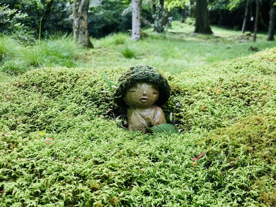 京都大原三千院　お地蔵さん 32173087_m AC