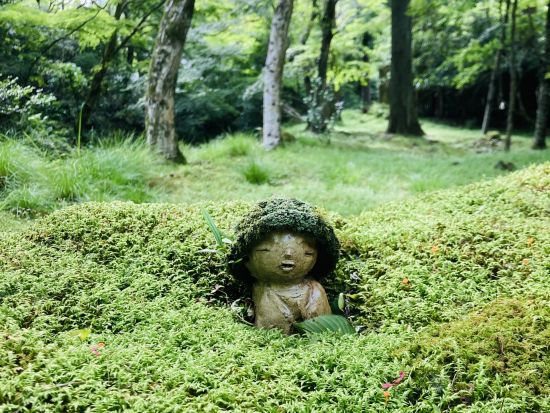 大阪・京都発着！三千院参拝と嵐山自由散策・旬菜ビュッフェランチと京都芸術花火13,000発観賞ツアー（現地解散） 【日英中ガイド】			